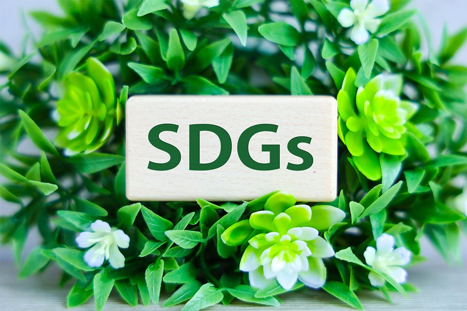 SDGs/インバウンド誘致